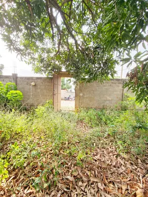 Terrain 1 lot clôturé à vendre à Cacaveli Zone LNBTP – 60 millions FCFA — photo 3