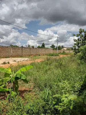 Terrain 2 lots en angle de rue à Zanguera Wougome – à partir de 22 000 000 FCFA le lot — photo 3