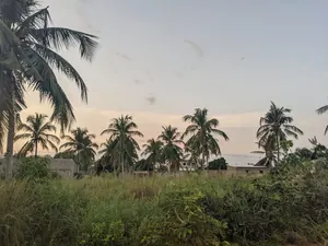 Terrain 4 lots en vente à Akato Viépé – 17 millions FCFA le lot