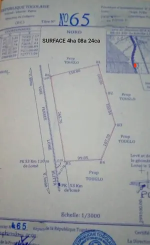 Terrain 4 hectares en vente à Tsevié Lilikopé Touni Kopé – 20 millions FCFA l'hectare