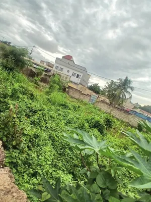 Terrain 397 m² en vente à Zanguéra Atilamonou – 25 000 000 FCFA — photo 5