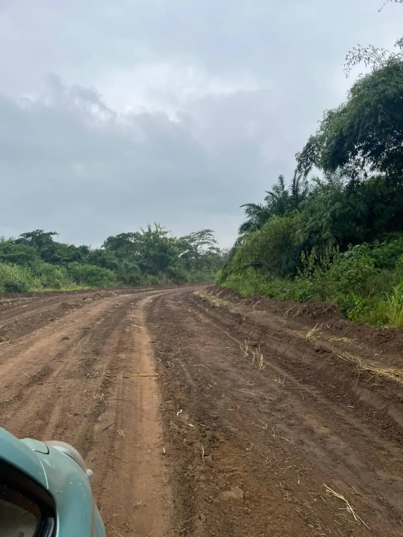 Terrain à vendre à Atigomé Dakui, Gapé Centre – 1 million FCFA le lot