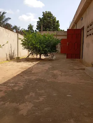Maison 3 chambres en vente à Amadahomé – 75 millions FCFA — photo 4