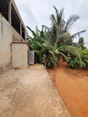 Vente d'un terrain à Légbassito CMS Madjikpéto, demi-lot 300 m², 19 m de la grande route – 17 500 000 FCFA — photo 2