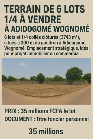 Terrain 6 lots 1/4 à vendre à Adidogomé Wognomé – 3743 m², ouvert sur 2 voies – 35 millions FCFA le lot
