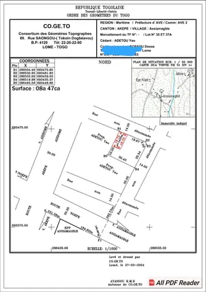 Terrain 600 m² en vente à Assiamagbléta – 12 millions FCFA — photo 2