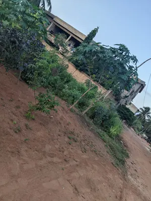 Terrain 4 lots en vente à Akato Viépé – 17 millions FCFA le lot — photo 3