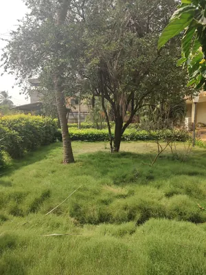 Villa duplex 4 chambres 4760 m² en vente bord du goudron à Novissi – 1,5 milliard FCFA — photo 3