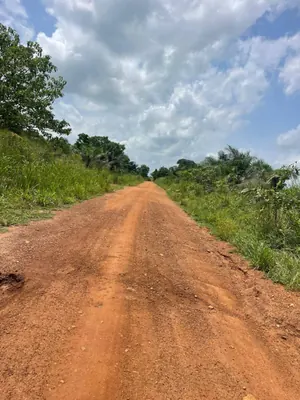 Vente d'un terrain à Avépozo, demi-lot, proche du goudron – 22 millions FCFA — photo 4