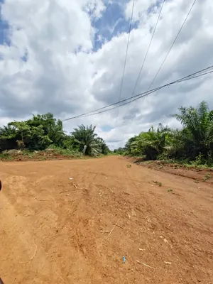 Vente d'hectares à Badja, 6 hectares, proche du goudron – 7,5 millions FCFA l'hectare — photo 4
