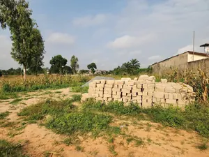 Terrain 2 lots en vente à Zanguera, face au goudron – 50 millions FCFA — photo 4