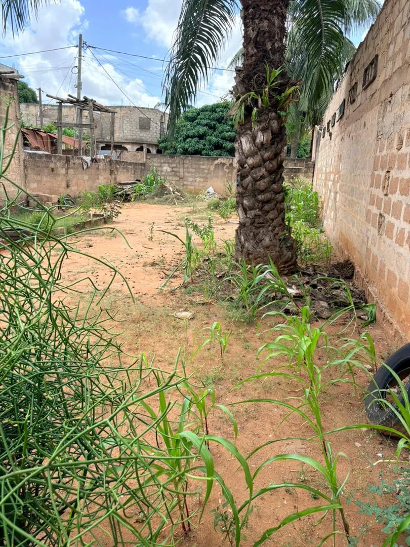 Terrain demi-lot clôturé en vente à Totsi Gblinkome – 25 millions FCFA