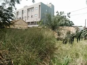 Terrain de 298 m² à vendre à Amoutivé Dékon – 130 millions FCFA — photo 5