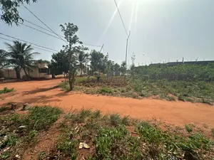 Terrain de 4200 m² (7 lots) en vente à Djagblé Abolavé – Prix à partir de 8 millions FCFA — photo 4