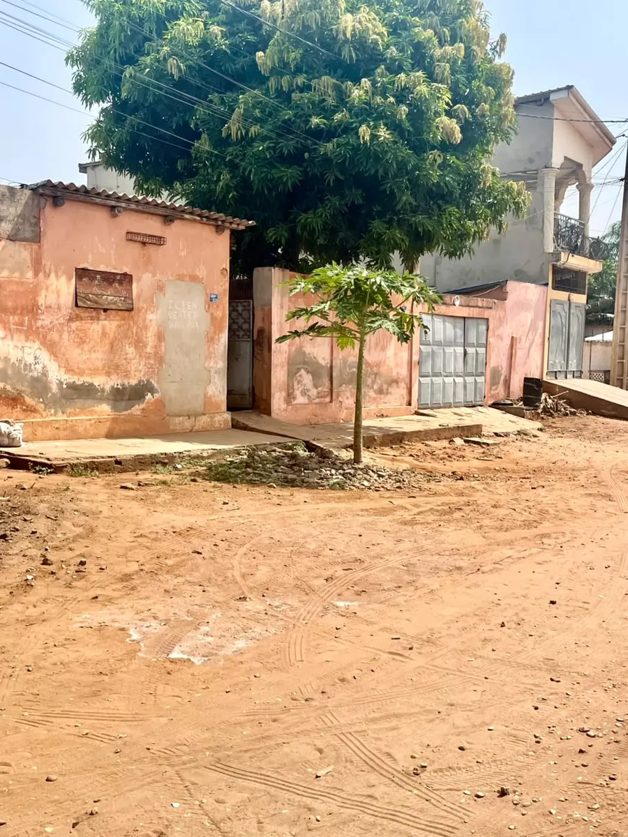 Terrain 1 lot en vente à Djidjolé avec accès goudron – 55 millions FCFA