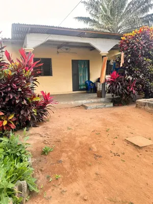 Vente d'une maison à Adidogomé Atigagomé, 2 pièces, demi-lot bâti, proche du goudron – 20 millions FCFA à débattre — photo 4