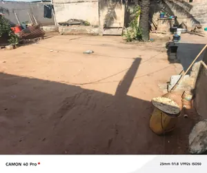 Vente d'un terrain à Agoè Carrefour Commando, demi-lot carré, angle de rue, bord de voie de 50m – 25 millions FCFA — photo 5