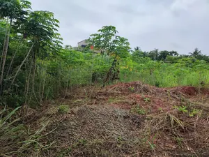 Terrain clôturé en vente à Segbé Carrefour Démé – 25 000 000 FCFA — photo 2