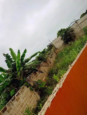 Terrain 203 m² en vente à Kpalé, angle de rue – 4,5 millions FCFA — photo 4