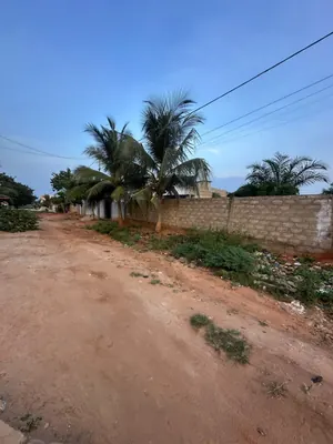 Vente d'un terrain à Apessito, demi-lot clôturé, à 300 m de la grande voie – 8 millions FCFA — photo 4