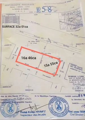 Terrain de 1104 m² en vente à Assigamé zone Hollando – 750 millions FCFA — photo 3