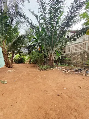 Vente d'un terrain à Légbassito CMS Madjikpéto, demi-lot 300 m², 19 m de la grande route – 17 500 000 FCFA — photo 3