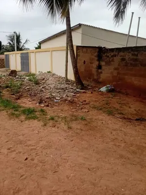 Terrain demi-lot 300 m² en vente à Avédji Coconut à 120 m du goudron – 25 millions FCFA — photo 2
