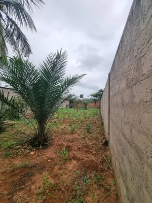 Terrain demi-lot clôturé à vendre à Ségbé Akato Catholique – 9 000 000 FCFA — photo 2