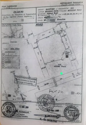 Terrain 2400 m² (4 lots) en vente à Apessito – 13,5 millions FCFA le lot — photo 3