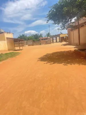 Vente de terrain à Adidogomé Sagbado, 8 lots clôturés, angle de rue – 23 millions FCFA le lot — photo 2