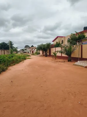 Vente d'un terrain à Sanguéra Klémé Agogbanou, 1 lot, titre foncier global, proche d'un point de repère – 20 millions FCFA à revoir — photo 3