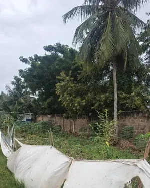 4 lots clôturés à vendre à Adidogomé Lankouvi-Sagbado – 100 millions FCFA — photo 2