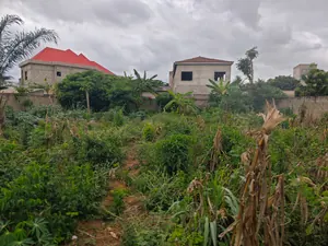 Vente d'un terrain à Nanégbé, 1 lot clôturé, à 100 m du carrefour Bonheur – 25 millions FCFA — photo 2