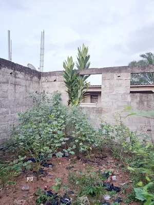 Vente d'une villa à Legbassito Assiko, 4 chambres + dépendance, demi-lot 300 m², à 1 km du goudron – 22 millions FCFA (dernier prix) — photo 17