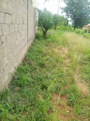 Terrain 6000 m² en vente à Mission Tové Adidomé – 9 millions FCFA le lot — photo 3