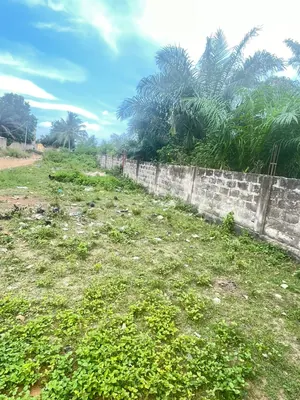 Vente de terrain à Adidogomé Sagbado, 8 lots clôturés, angle de rue – 23 millions FCFA le lot — photo 4