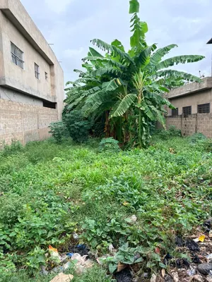 Terrain demi-lot rectangulaire en vente à Légbassito derrière les sœurs – 14 millions FCFA — photo 4