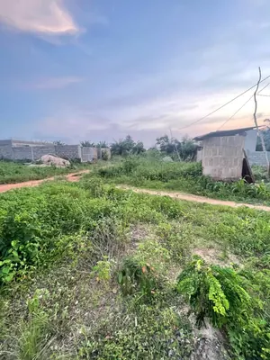 Terrain demi-lot 300 m² en vente à Noépé – 6 500 000 FCFA