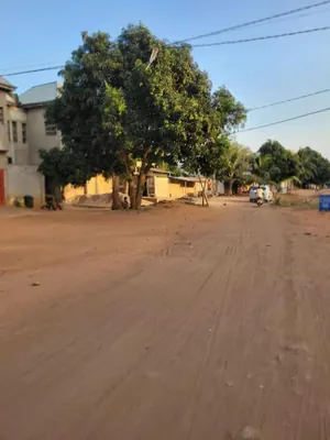 Vente de terrain à Adidogomé Kohé, 4 lots clôturés derrière le CEG Kohé – 27 millions FCFA le lot — photo 3
