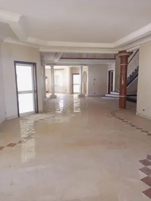 Terrain 300 m² en vente à Assigamé, Grand Marché de Lomé – 300 millions FCFA — photo 3