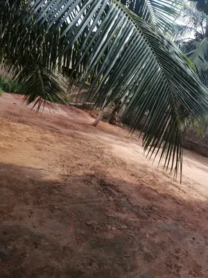 Terrain 1 lot clos avec 2 pièces en vente à Adidogomé Segbé Klemè – 27 millions FCFA