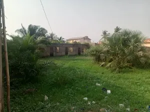 Terrain 1 lot de 600 m² à vendre à Agoè Zongo derrière le marché – 25 millions FCFA — photo 4