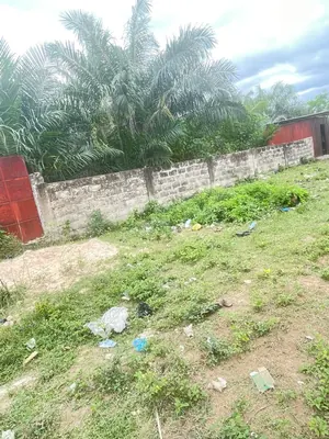 Vente de terrain à Adidogomé Sagbado, 8 lots clôturés, angle de rue – 23 millions FCFA le lot — photo 5