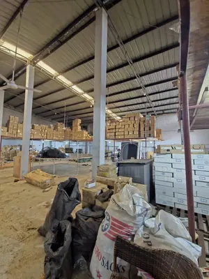 Vente d'un entrepôt à Agoè Fiovi, 668 m², accès direct au goudron – 72 millions FCFA — photo 8