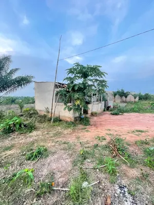 Terrain demi-lot 300 m² en vente à Noépé – 6 500 000 FCFA — photo 3