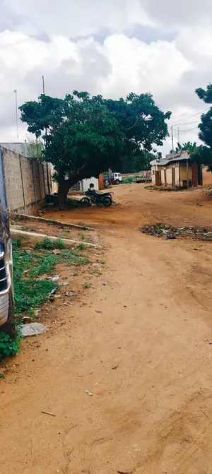 Terrain 1 lot en angle de rue clôturé à vendre à Agoè Nyivé Gendarmerie – 50 millions FCFA — photo 2