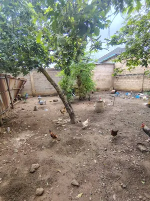 Terrain demi-lot en vente à Avedji CEG – 20 millions FCFA à débattre — photo 4