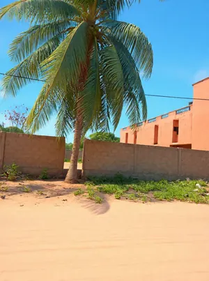 Terrain 1 lot (600 m²) en vente à Adidogomé Atilamonou – 26 millions FCFA le lot — photo 3