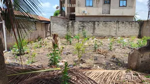 Terrain 3/4 de lot en angle de rue à Djidjolé – 40 millions FCFA