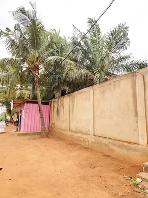Vente d'une villa à Agoè CCL, R+1, 2 lots en angle de rues, à 40 m du Boulevard CEDEAO – 150 millions FCFA — photo 5
